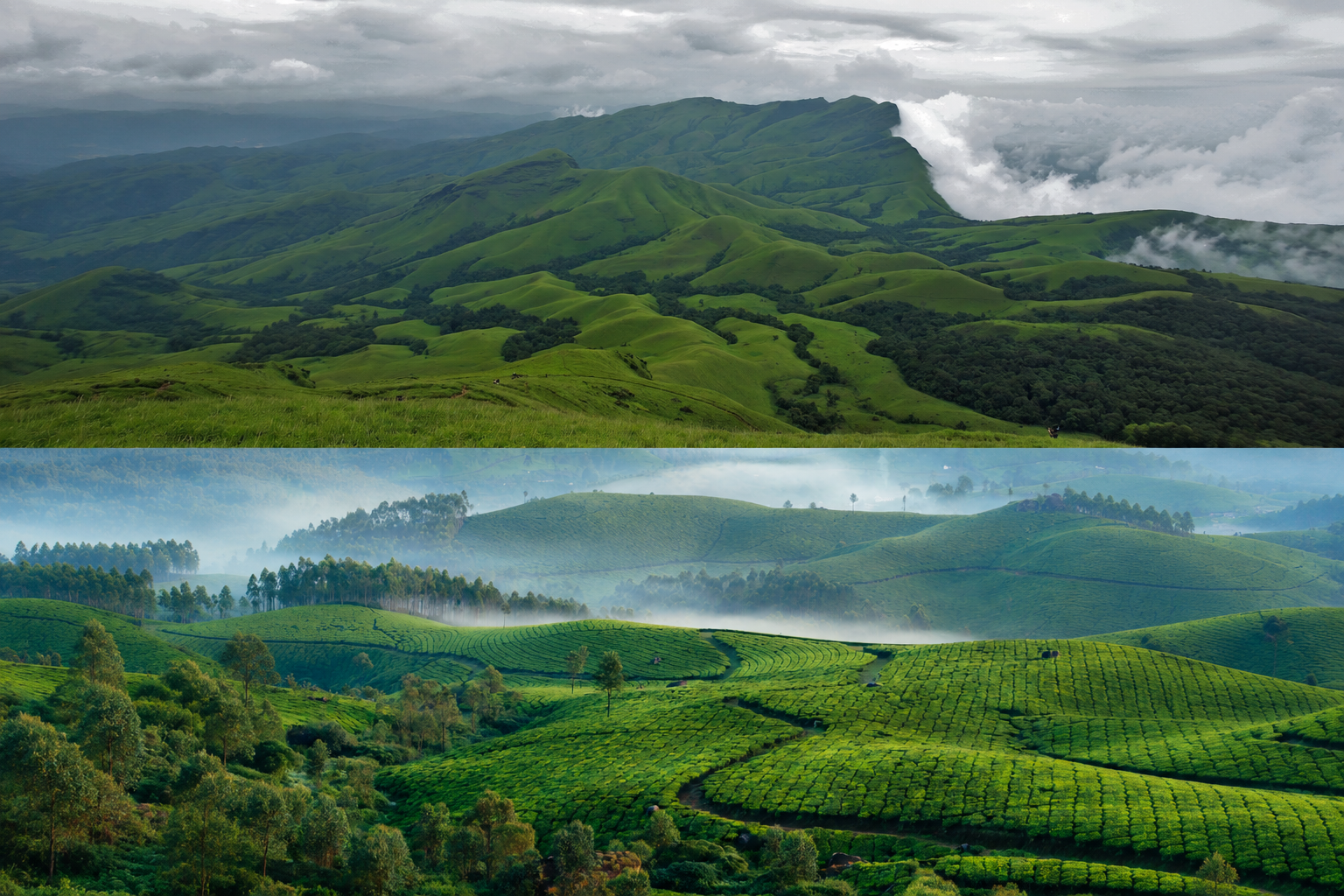 Chikkamagaluru and Coorg